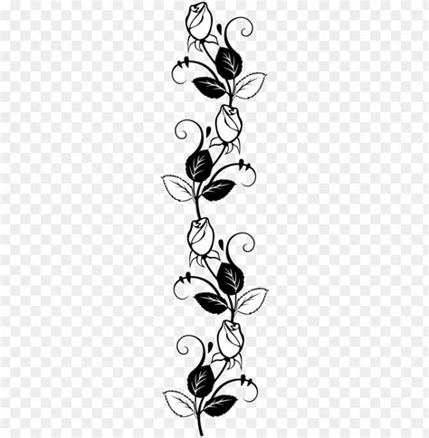 rose stencil silhouette drawing free frame - roses on vine silhouette PNG image with transparent ...