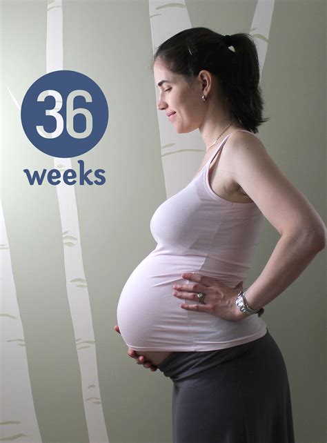 Pics Photos - Your Pregnancy 36 Weeks