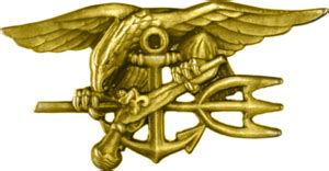 Special Warfare insignia - Wikipedia