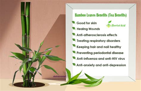 8 Surprising benefits Of Bamboo Leaves (Bamboo Tea Benefits)