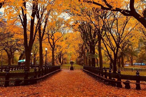 22 Best Things To Look Forward To About Fall In New York City