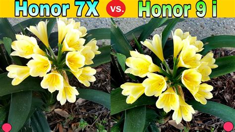 HONOR 7X Vs HONOR 9 i : Best Camera Comparison - YouTube