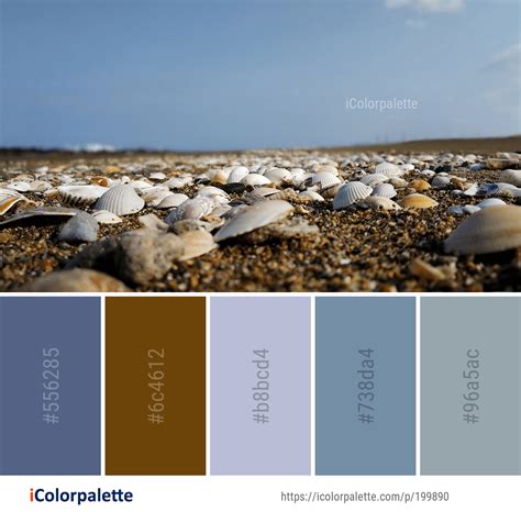 47 Seashell Color Palette ideas in 2024 | iColorpalette