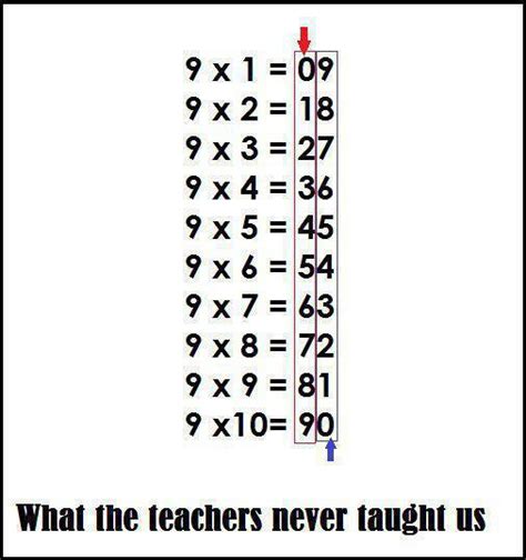 What The Teacher Never Taught Us? Sifir 9... Really?