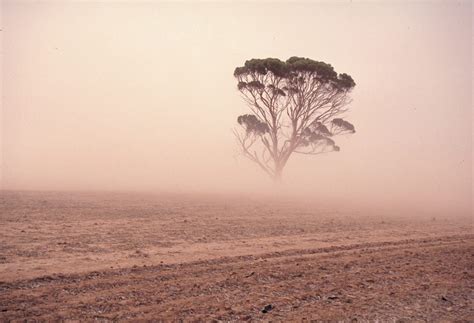 Harvest measures to prevent wind erosion - Grain Central