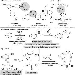 Selected bioactive sulfonamides. b) Classic sulfonamide synthesis based... | Download Scientific ...