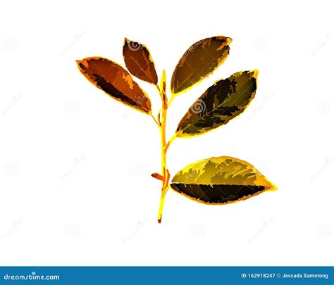 Brown Leaf Illustration on a White Background. Stock Illustration - Illustration of summer ...