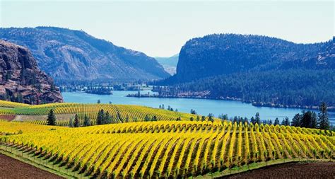 Wineries & Wine Tours | British Columbia | Destination BC - Official Site | Wine tour, British ...