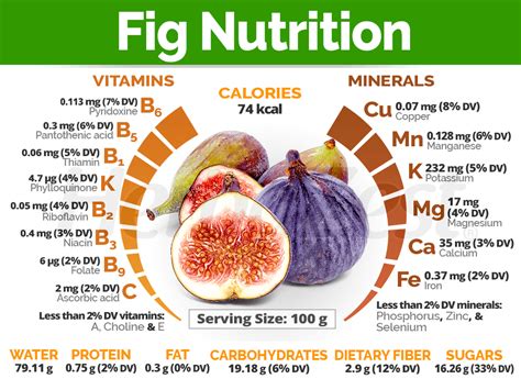 Nutrition Facts And Health Benefits Of Figs | Fruits Facts