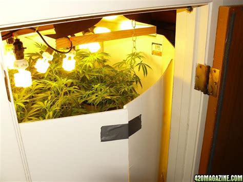 Maximizing Indoor Grow Lighting Effeciency