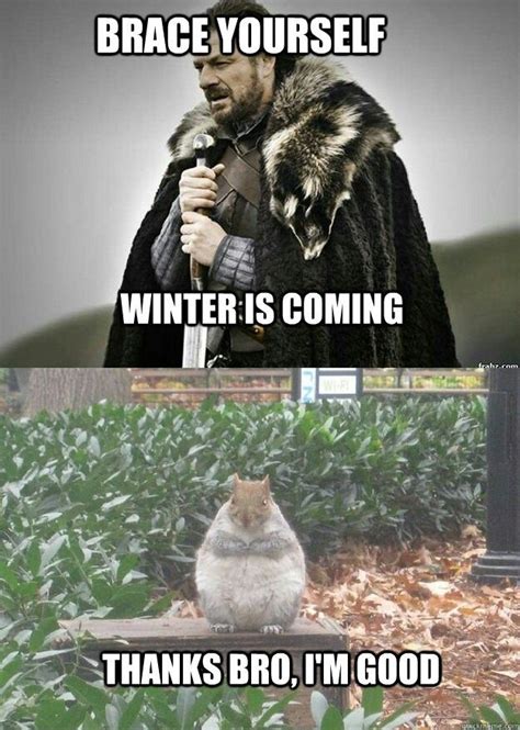 Winter is coming... | Funny animal memes, Haha funny, Animal captions