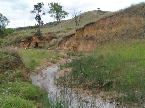 Stream and River Restoration: Gully erosion