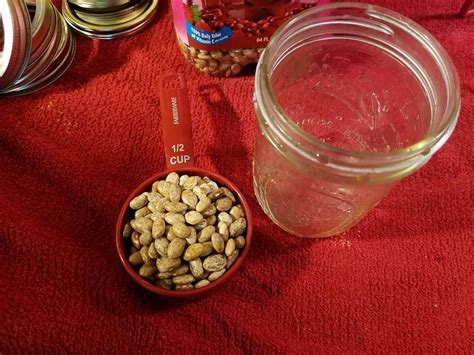 3 Ways to Cook Homemade Dry Beans Without Pre-soaking | Cooking homemade, Canning recipes, Dry beans