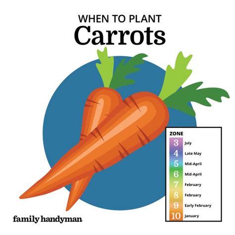 Planting Calendar: When to Plant These Popular Vegetables | The Family ...