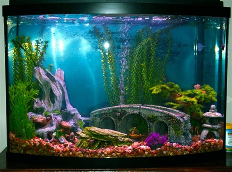 fish tank decorations - Google Search | Fish tank, Aquarium fish tank, Fish tank themes