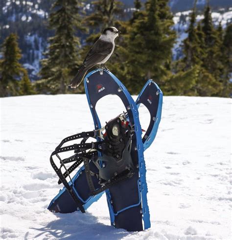 Gear Review : MSR Lightning Ascent Snowshoes - Mindful Explorer