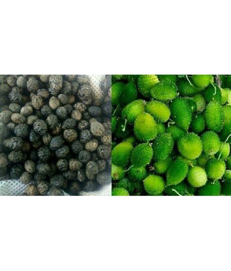 Momordica dioica Seeds for kitchen gardening Kakoda Kantola Vegetable Seeds: Buy Momordica ...