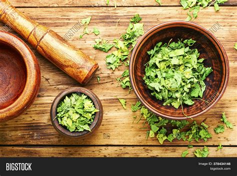 Dried Parsley Image & Photo (Free Trial) | Bigstock