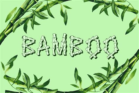 25 Best Free and Premium Bamboo Fonts 2020 | Hyperpix