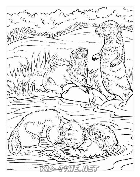 Otter – Animals Coloring Book Pages Sheets – Kids Time Fun Places to Visit and Free Coloring ...