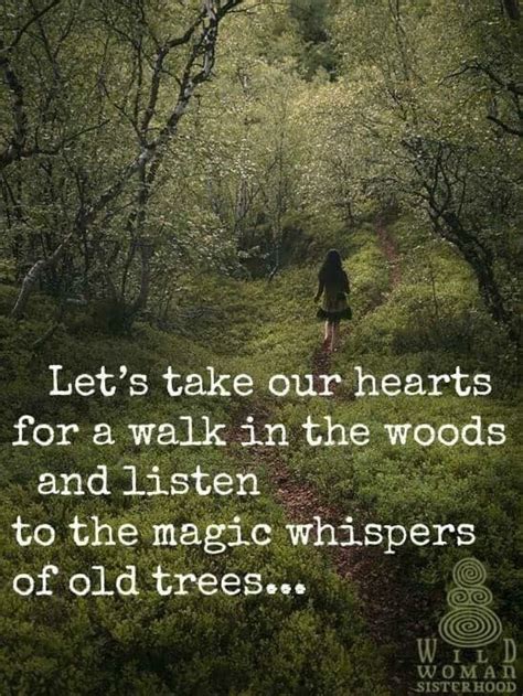 Walk in the woods | Nature quotes, Words quotes, Words of wisdom