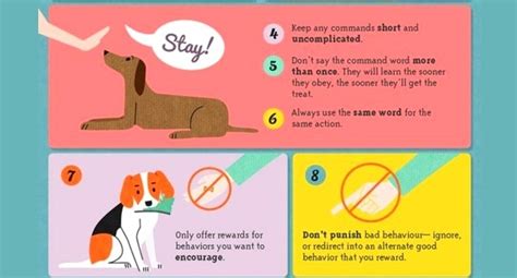 30 Super Easy Positive Reinforcement Training Tips - Life With Dogs