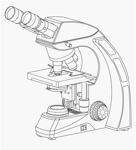 Collection Of High - Pencil Compound Microscope Drawing, HD Png Download - kindpng