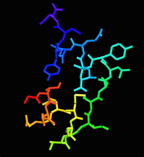 Insulin Folding - see how it's done | Digital World Biology