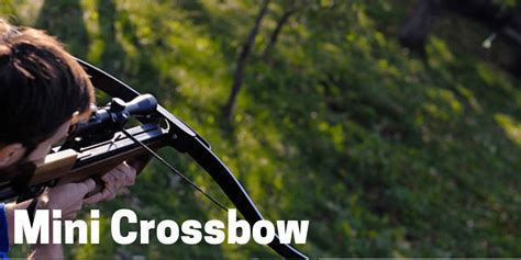 Mini Crossbow: Perfect For Target Practice And Hunting Small Game