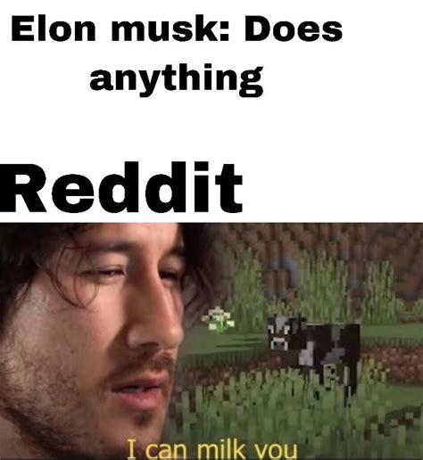 Elon tusk : r/memes