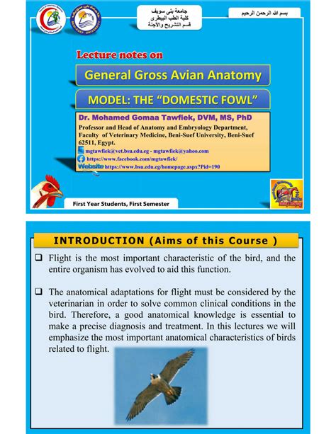 SOLUTION: Fowl anatomy 2 - Studypool