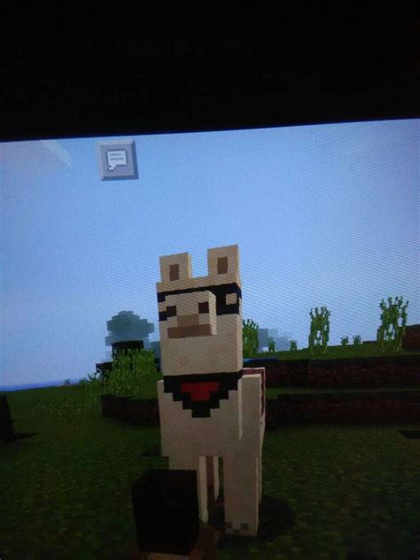 Minecraft Llama Carpet Designs | www.stkittsvilla.com