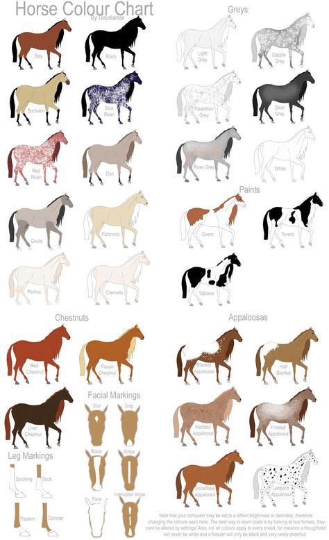 Equine Coat Color | Horse Colour Chart by Gaurdianax on deviantART | Horse color chart, Horse ...