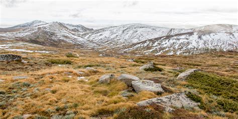 Climate change impacts on our alpine areas | AdaptNSW