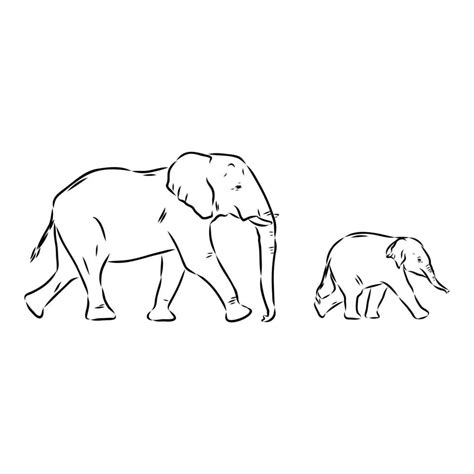 African elephant sketch 48390731 Vector Art at Vecteezy