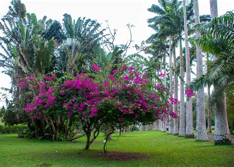 Aburi Botanical Gardens