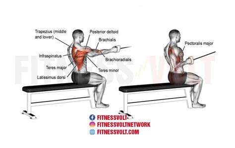 Single-arm cable seated row