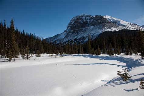 Ski Tour Tonquin Valley | All about Jasper National Park