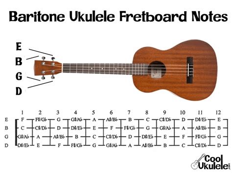 What are the Notes on a Ukulele? in 2020 | Ukulele, Tenor ukulele, Ukulele strings