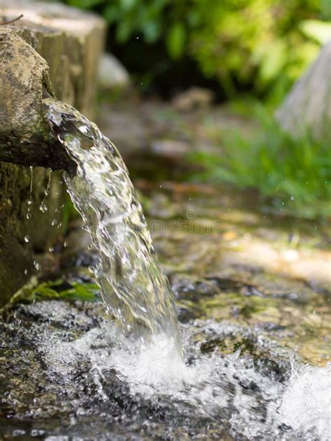 Natural Spring Water at Forest Stock Image - Image of nature, forest: 124047723