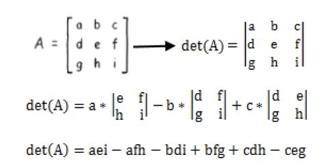 Can Matrix Determinant Be Negative - Kyra-has-Galvan