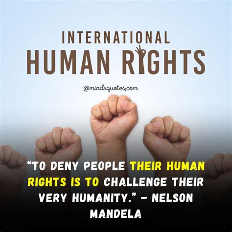 60 BEST Human Rights Day Quotes, Wishes & Messages