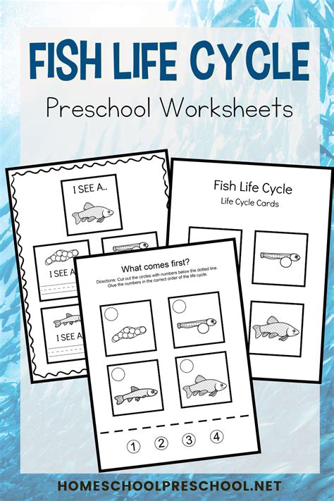 Free Printable Life Cycle of a Fish for Kids Worksheets