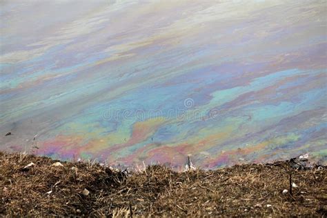 Gasoline Rainbow stock photo. Image of petroleum, rainbow - 1204914