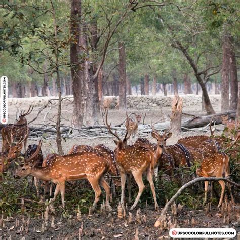 Guindy National Park: Chennai's Urban Oasis [MAP] - UPSC Colorfull notes