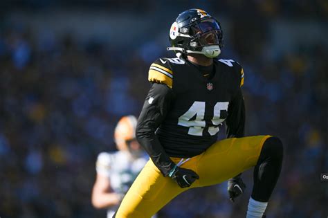 Pittsburgh Steelers Add LB to Roster for Bengals Game - Sports ...