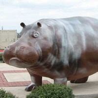 Hutto, TX - Hutto Hippo Statues | Hutto, Hippo, Hippopotamus