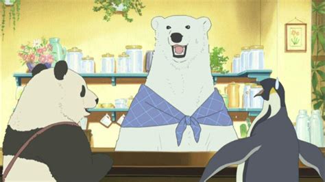 First Impressions: Shirokuma Cafe | Anime Amino