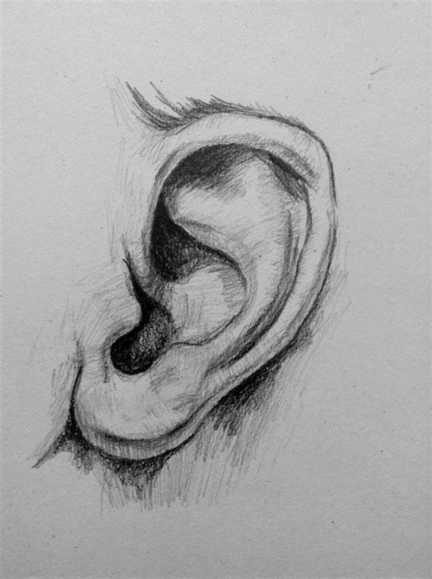 Ear, drawing, made by ONE | Pencil art drawings, Pencil drawings of girls, How to draw ears