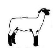 Show lamb silhouette | Silhouette Printables | Sheep silhouette, Showing livestock, Lamb cuts